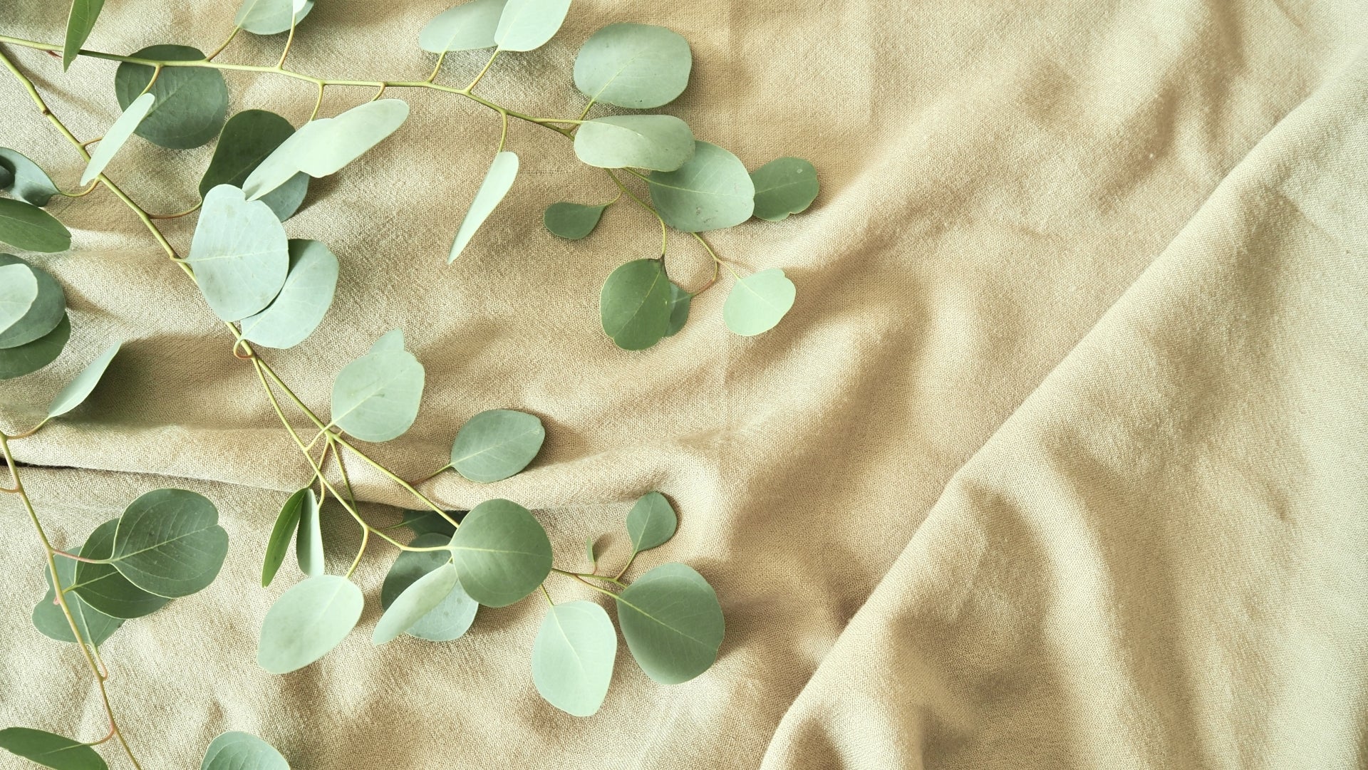 秋に使用する掛け布団の選び方とおすすめ商品10選をブランド別にご紹介!