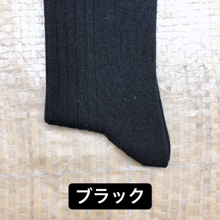 スクールソックス2足組、選べるLサイズ